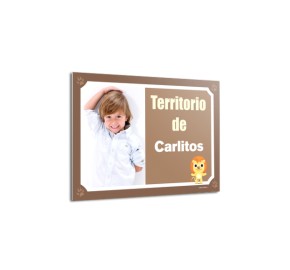 placas de puerta el rey de la selva